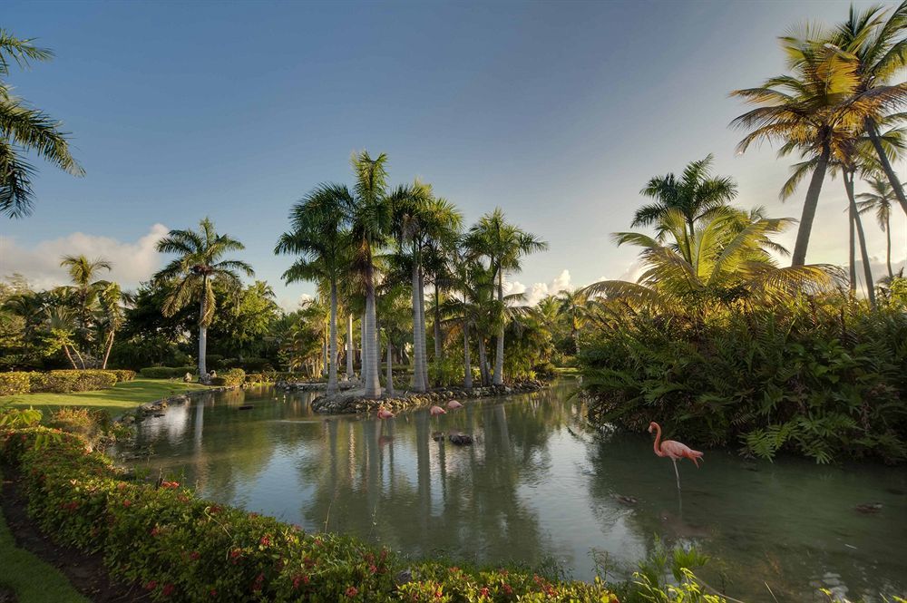 The Level At Melia Caribe Beach (Adults Only) Punta Cana Esterno foto
