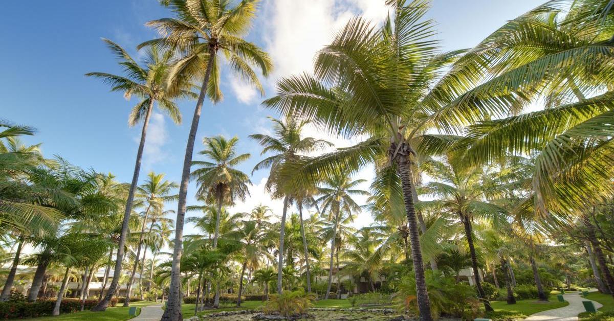 The Level At Melia Caribe Beach (Adults Only) Punta Cana Esterno foto